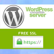 wordpress hosting
